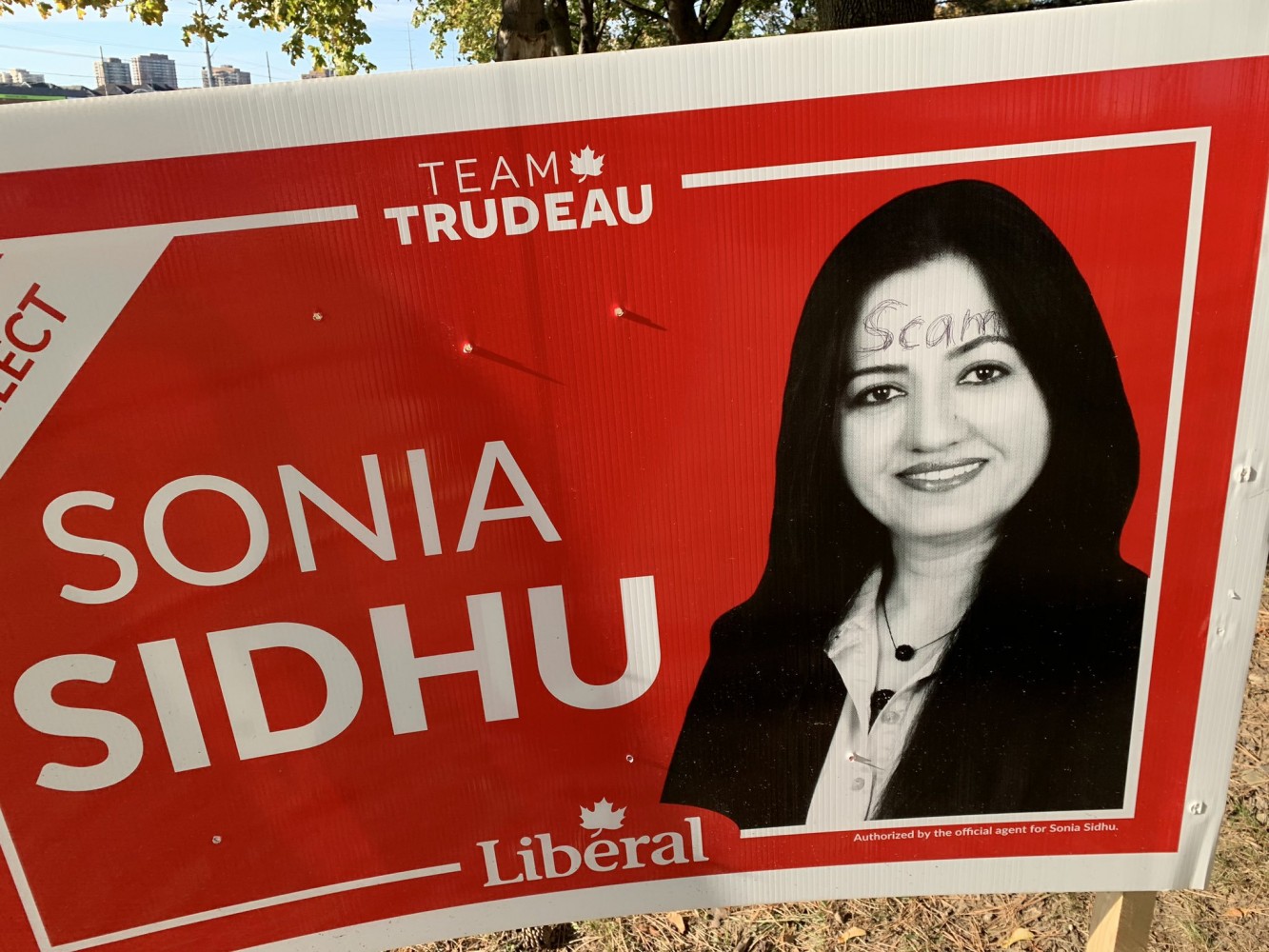 Liberals’ Sonia Sidhu reports ‘hundreds’ of signs stolen or vandalized as candidate conflict dominates campaign