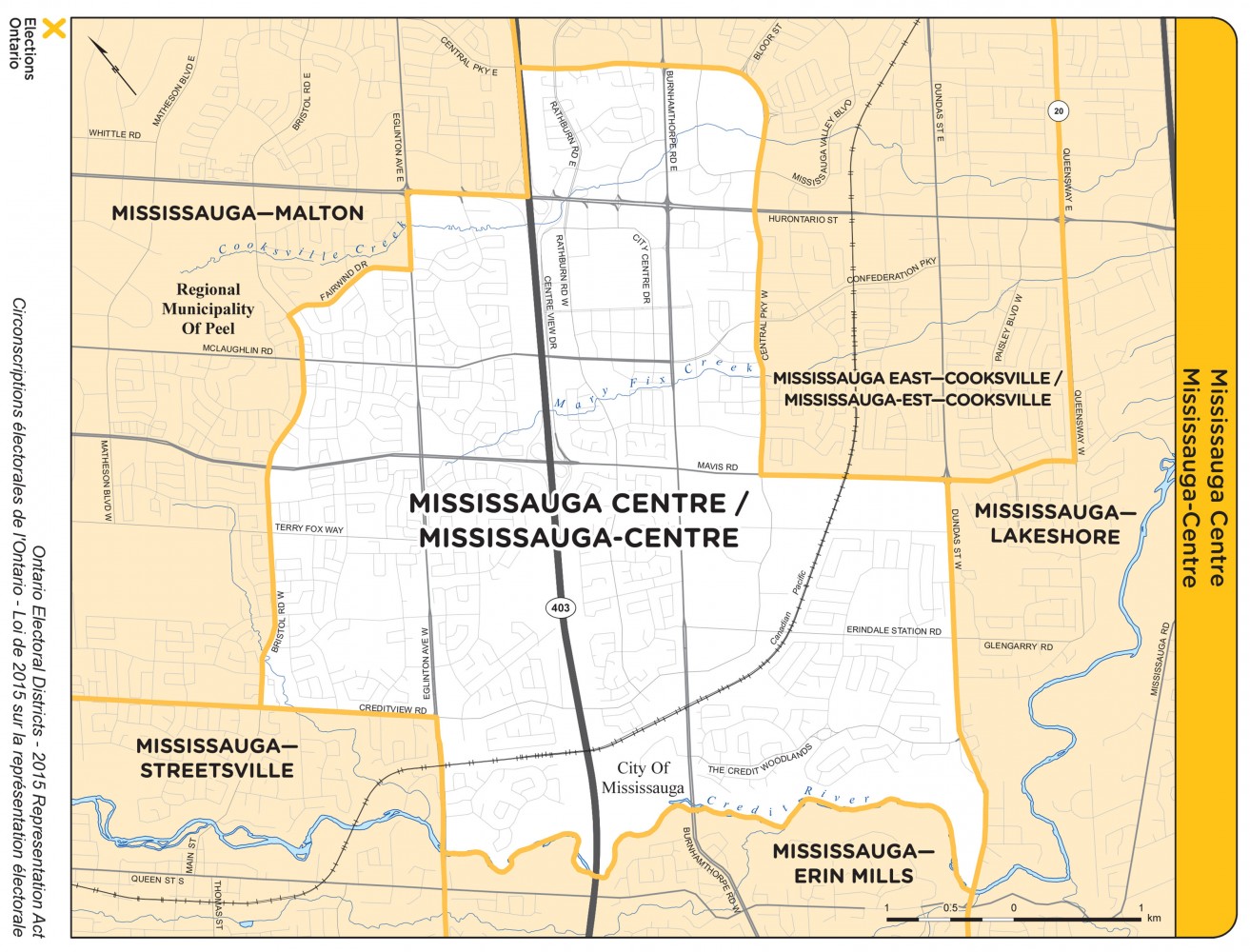 Mississauga Centre a battleground for healthcare advocates and future planning