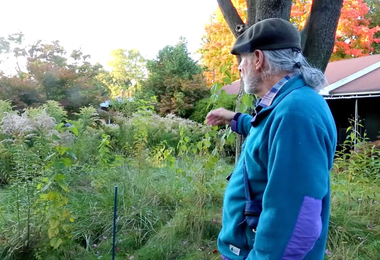 Mississauga rewrites lawn bylaw after court ruling protects naturalized gardens—but keeps limit for grass at 20 cm for most homes