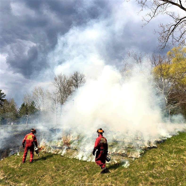 Mississauga works to preserve its remaining green spaces