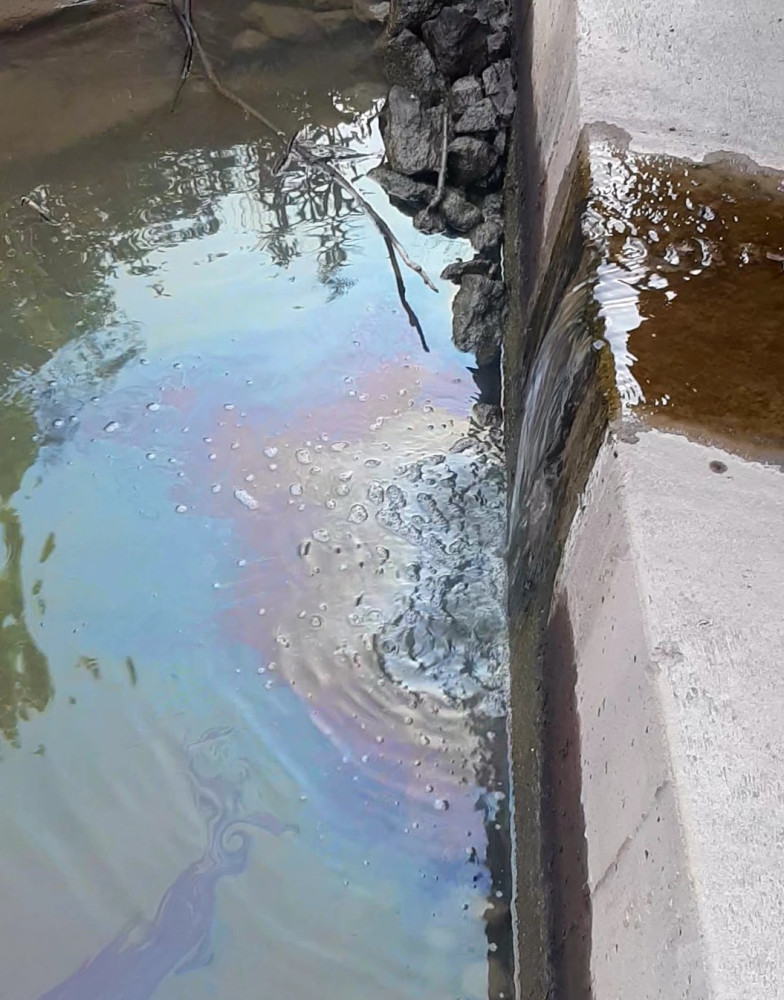 Niagara residents force Environment Ministry to act after oil slick discovered on Welland River 