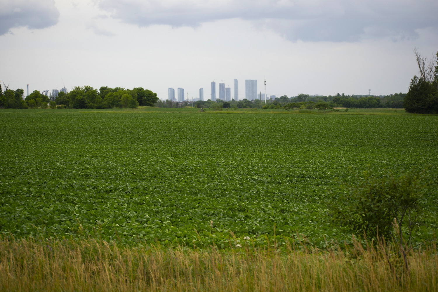 ‘Not for the faint of heart’: Democracy Caledon’s rezoning challenge against municipality reaches Ontario Superior Court