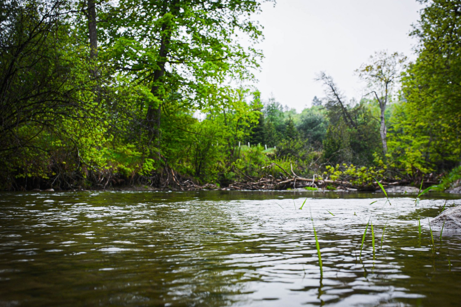 ‘Now is the time to say no, stop’: the PCs have forgotten Ontario was once the land that was ‘Yours to discover’ 