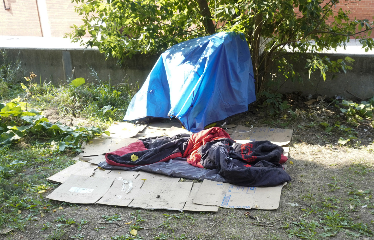 Ontario government announces 38% funding increase to combat rising homelessness in Peel 