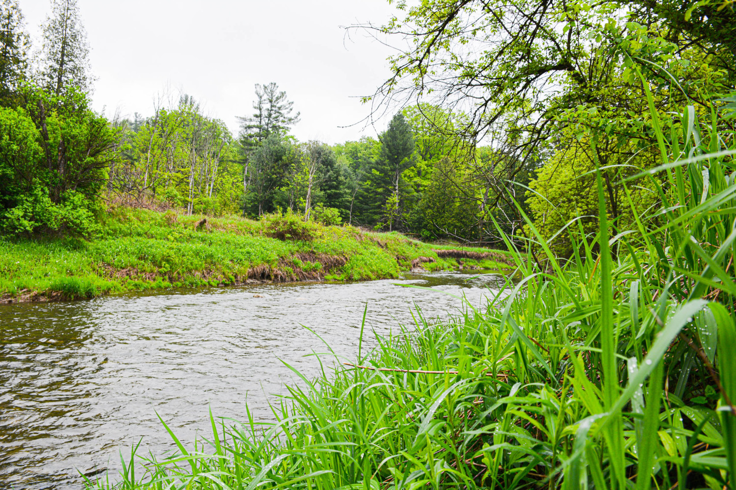 Ontario’s Greenbelt at risk like never before, advocates say 