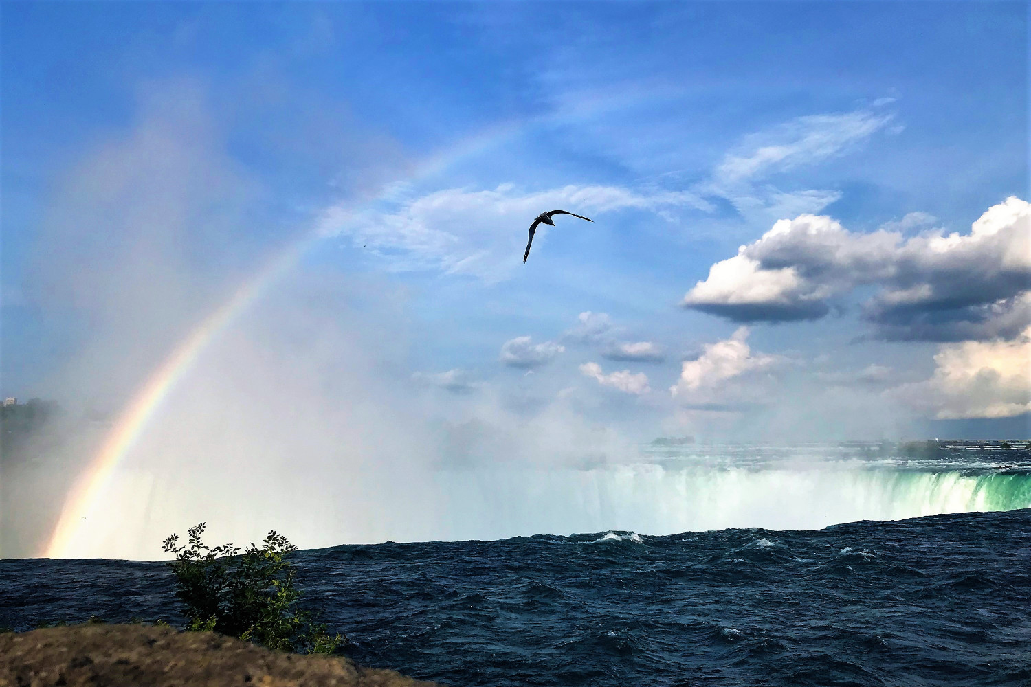 Ontario’s water security must be better protected