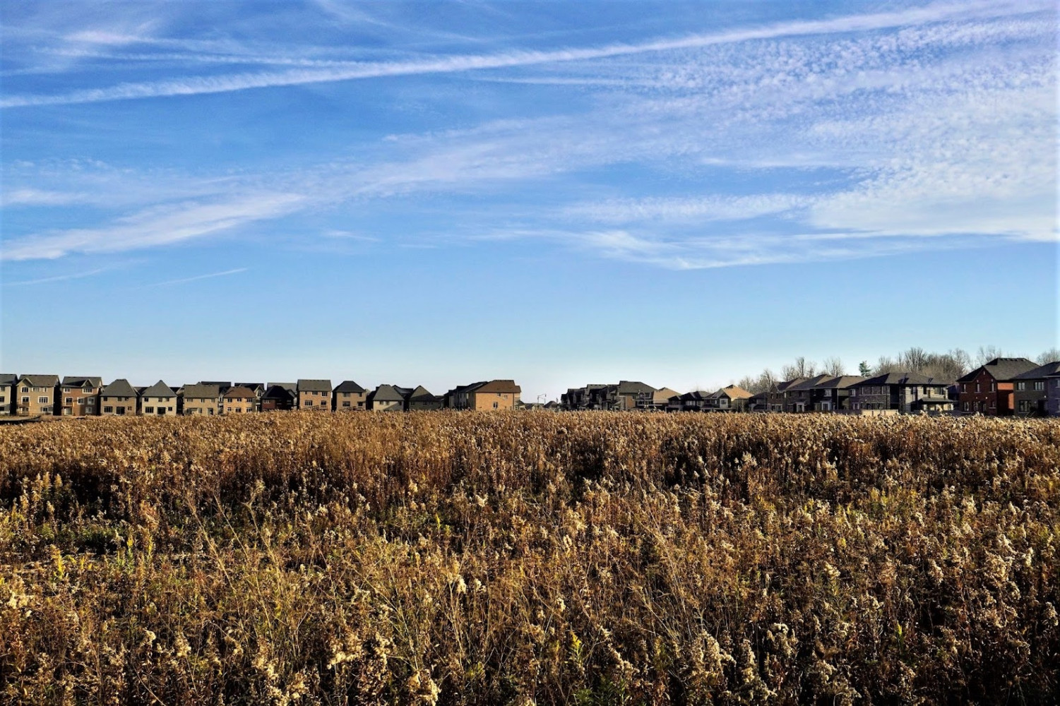 PC housing Bill limits environmental protections, scraps complete communities but farmers win key fight against developers