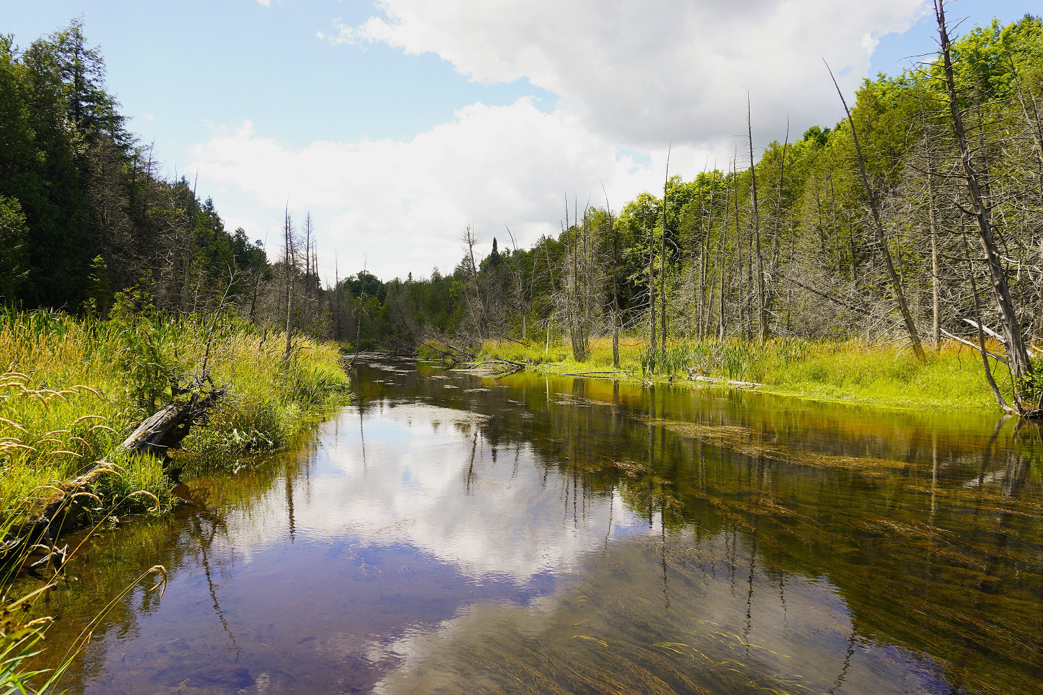 PC housing policy threatens watershed security and democracy