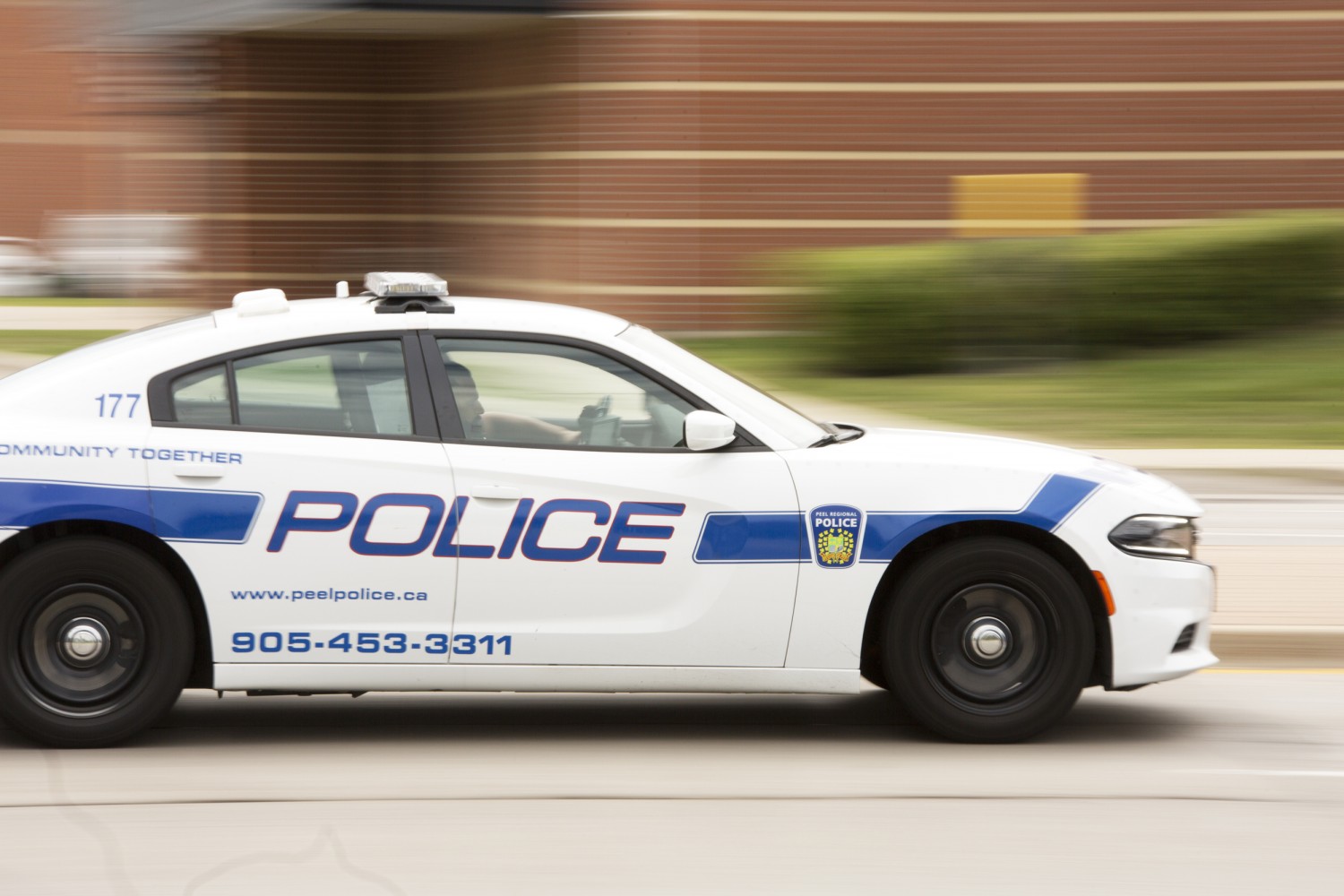 Peel police making headway against violent crime while struggling with ...