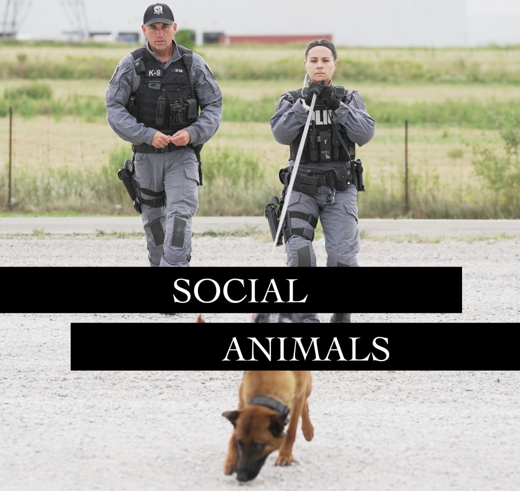 Peel’s K9 unit has a social media style police forces should learn from