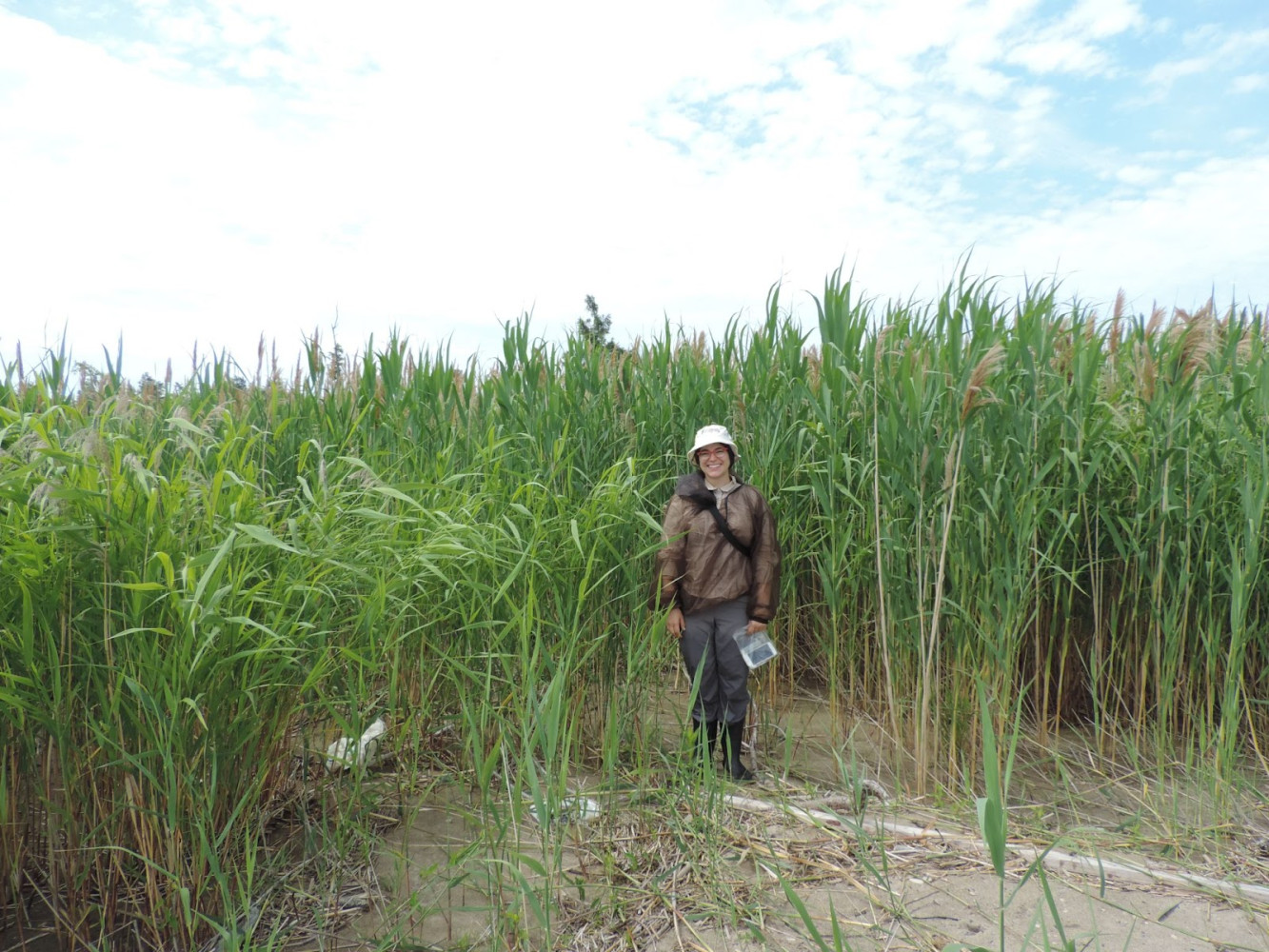 Save Ontario Wetlands aims to provide crucial resources while conservation  authorities are under attack by Ford government