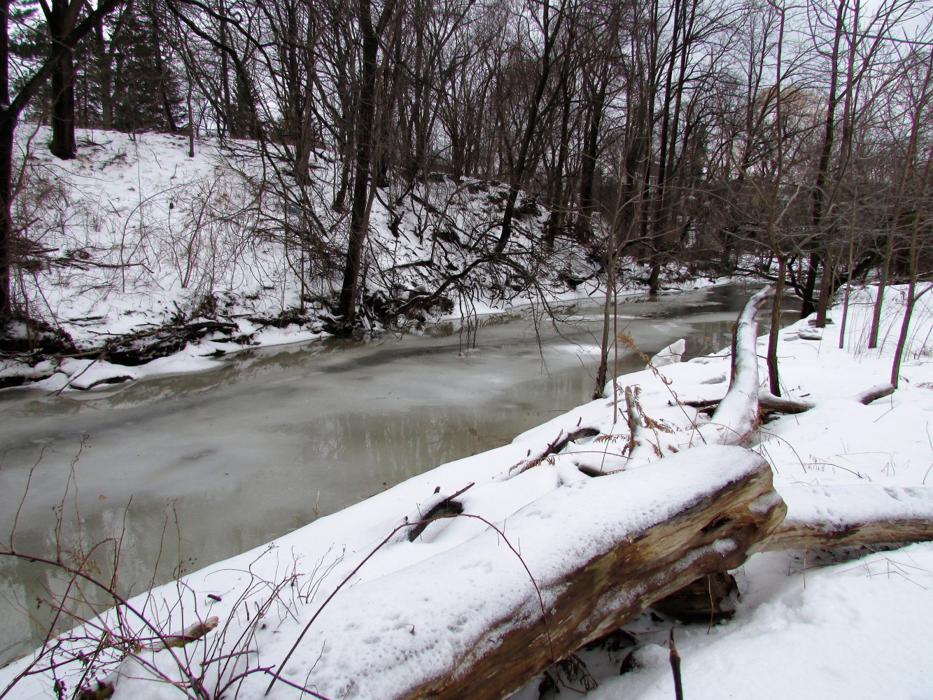 Seeking daylight: a book offers possibilities for cities like Brampton whose waterways have been buried