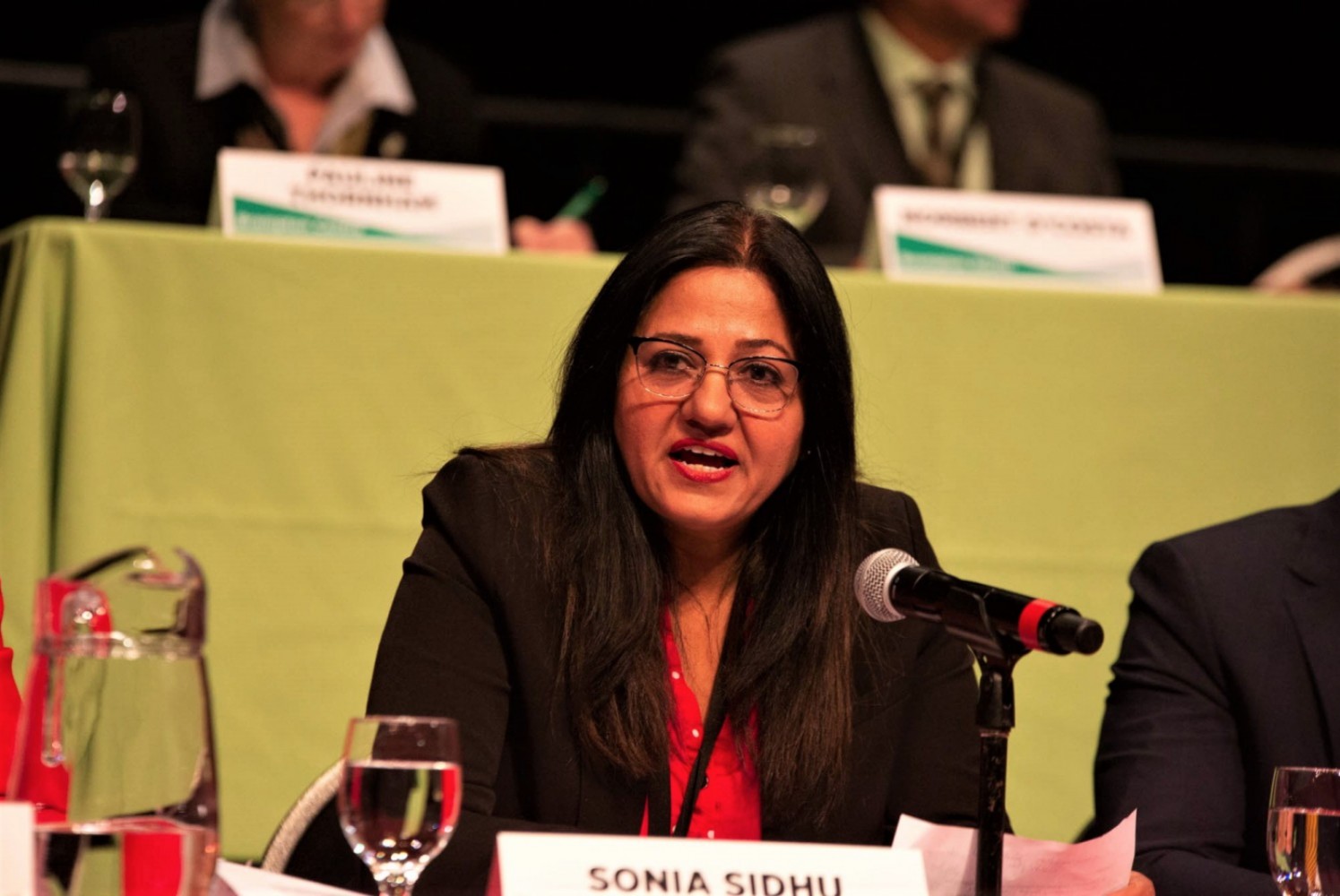 Sonia Sidhu advocated on health-related issues in Ottawa, but was quiet beyond that   