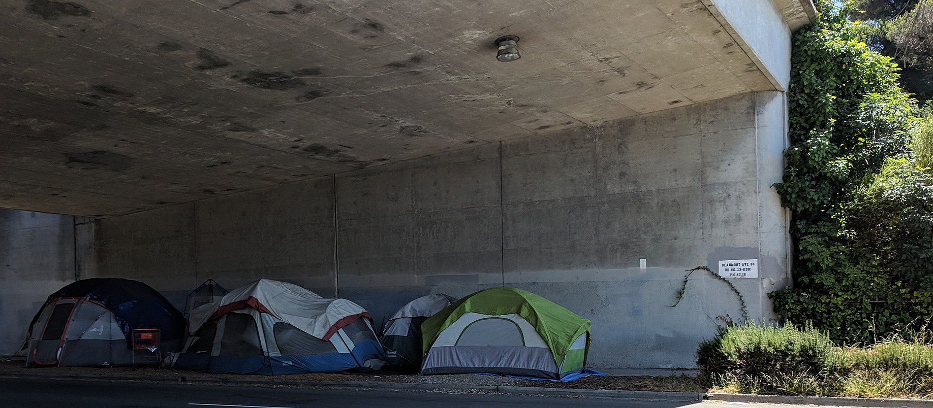 Tent encampments are popping up across Peel in the age of COVID-19; a recent UN report says Canada is failing on the issue