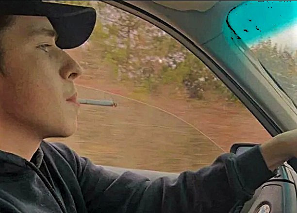 ‘The law targets the inherently risky activity of driving after consuming cannabis’: Driver sentenced to 17 years after killing Caledon mother and 3 daughters loses appeal