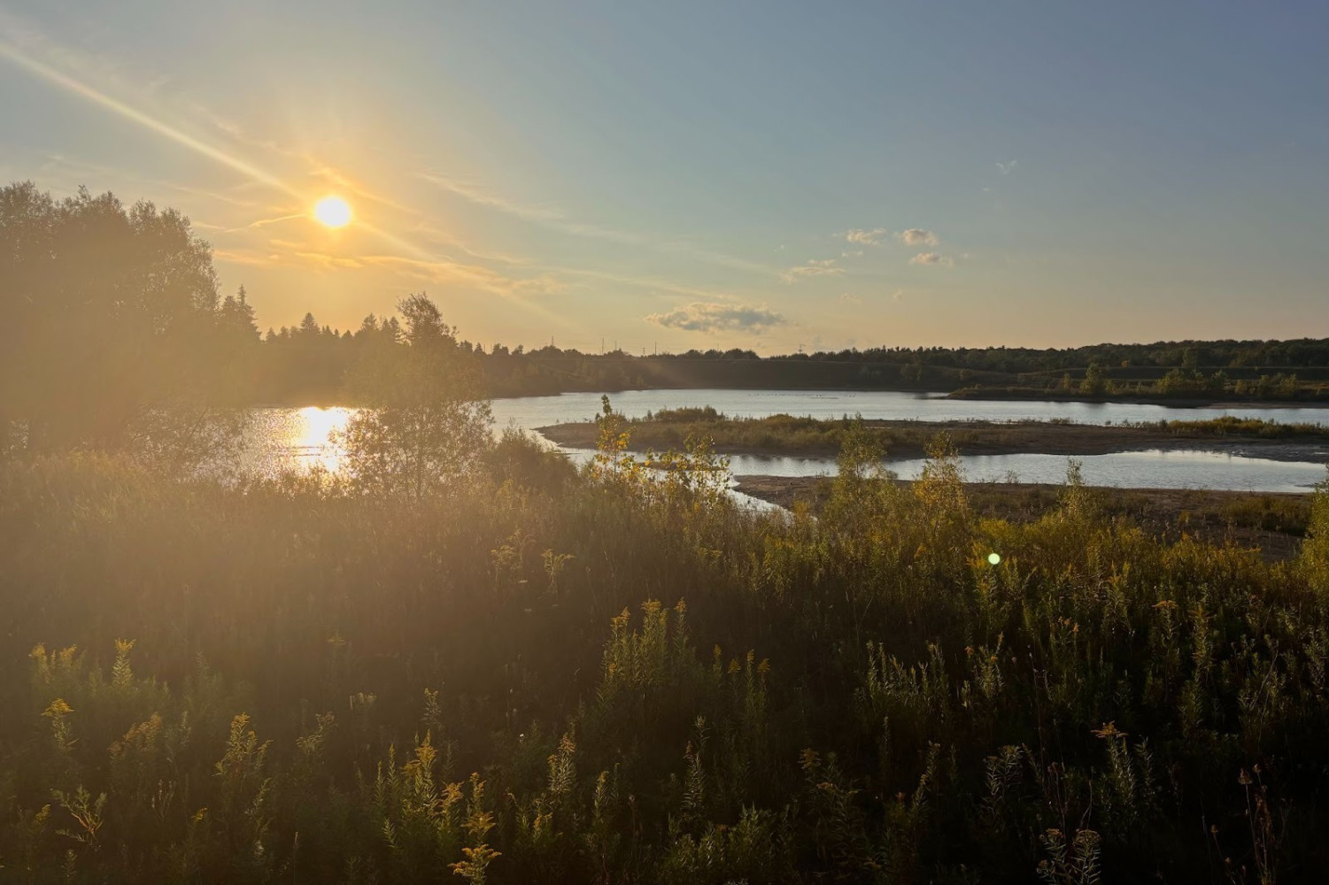 ‘This is about profit, not restoration’: neighbours vow to fight developer seeking to dump waste in Swan Lake