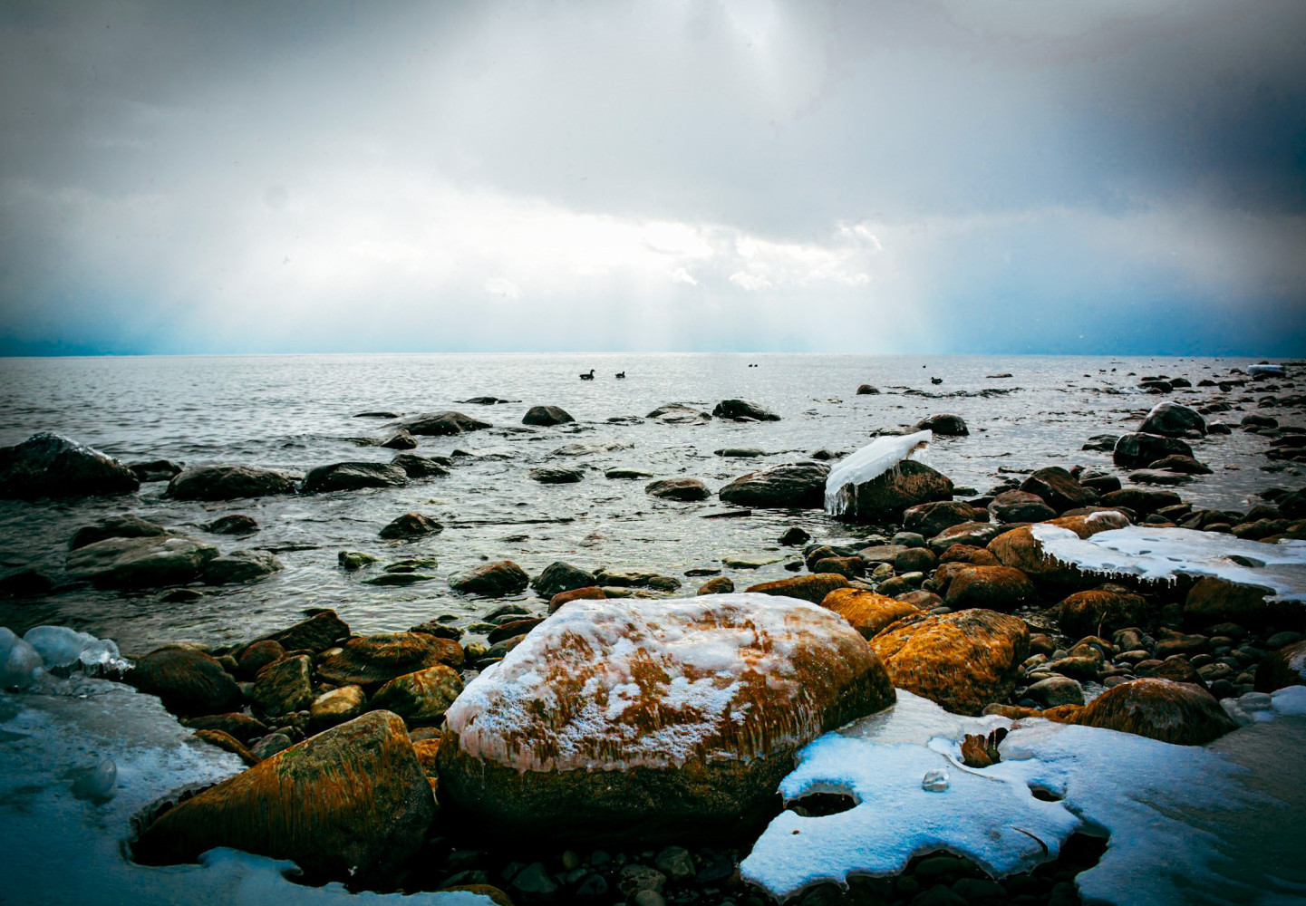 Trump’s cuts to Great Lakes research threaten freshwater for Ontarians