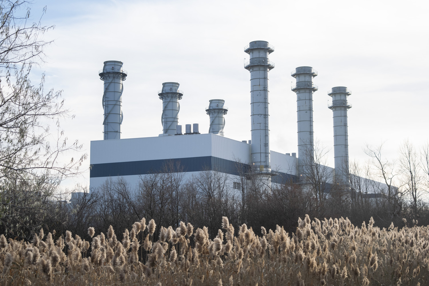 Waste not, burn not: Brampton's battle over massive waste incineration expansion