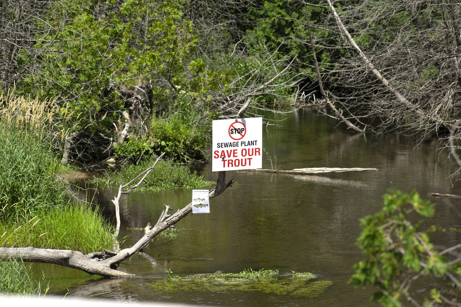 ‘We’re not going away’: Erin residents still waiting for Canada's first municipal effluent cooling system to protect Credit River